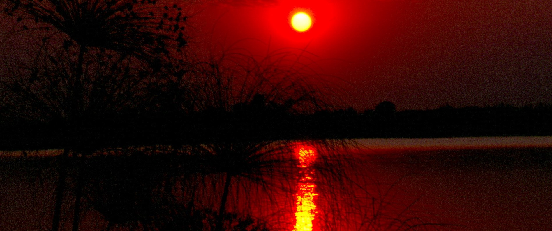 BW Chobe Sunset 1200 A.jpg