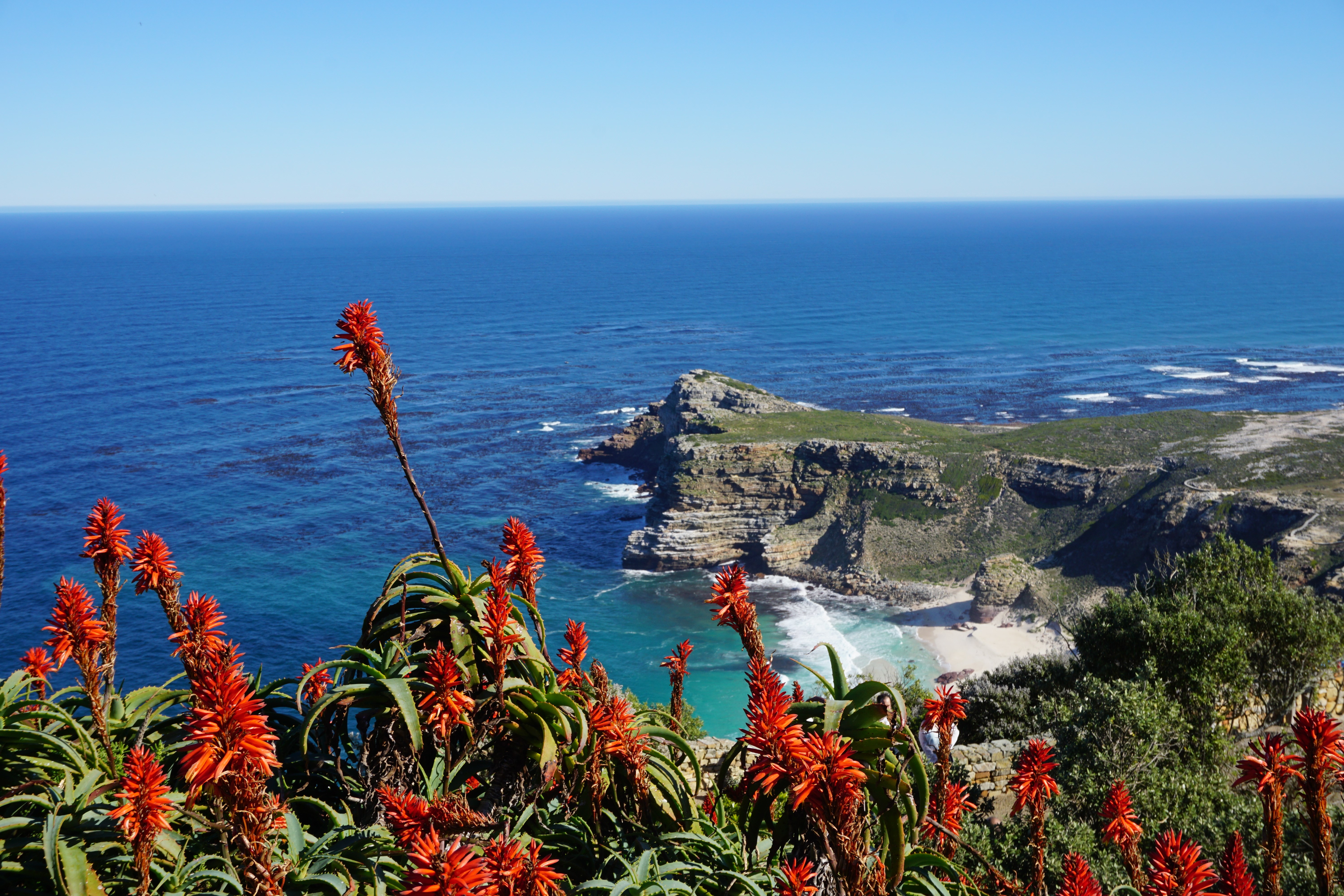 The Cape of Good Hope (from Cape Point).jpg