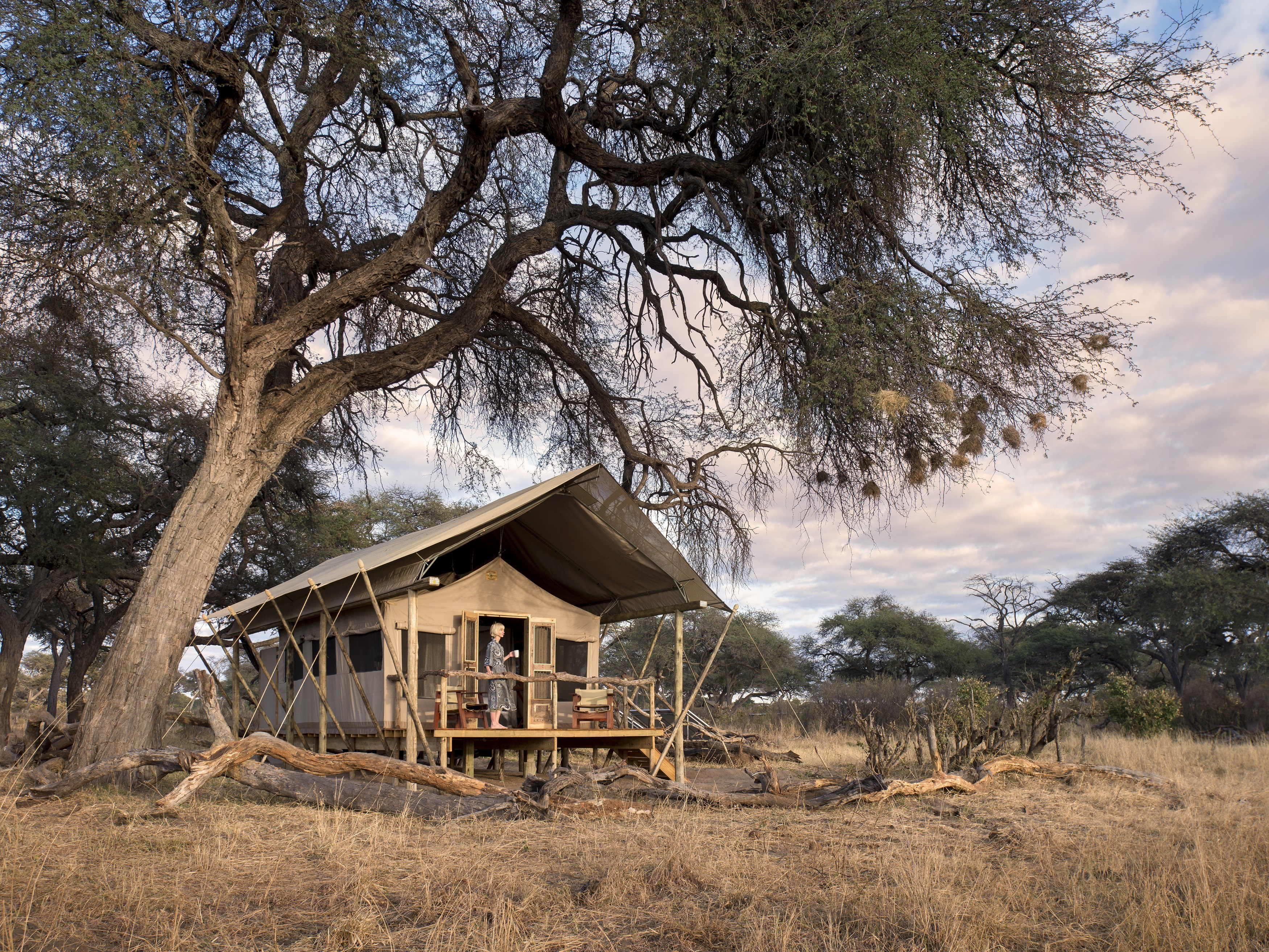 somalisa_expeditions_hwange_national_park_zimbabwe_bedroom_from_outside_1_luxury_safari_lodge_african_bush_camps.jpg