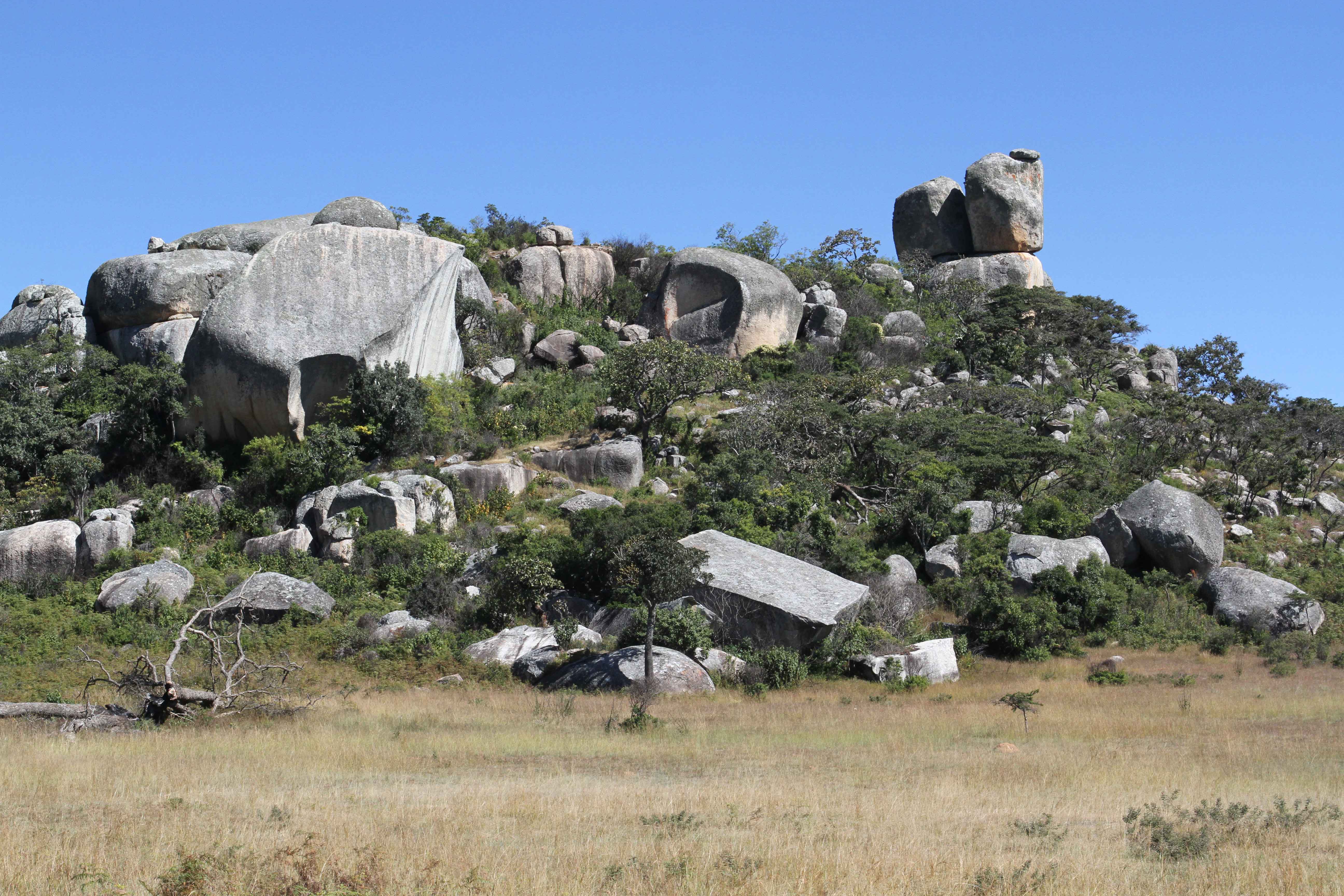 Nyanga_04.jpg