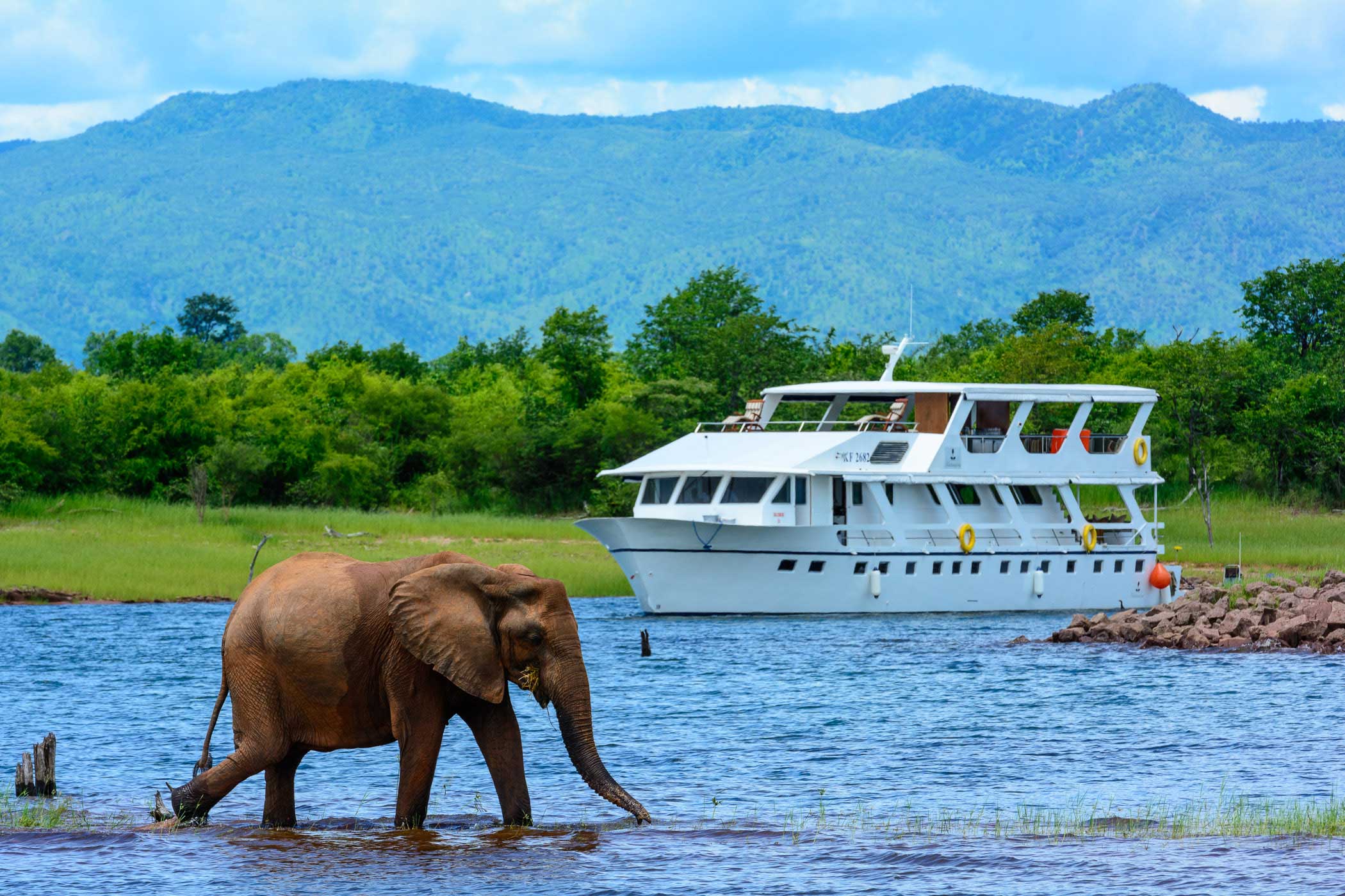 cruise and safari holidays