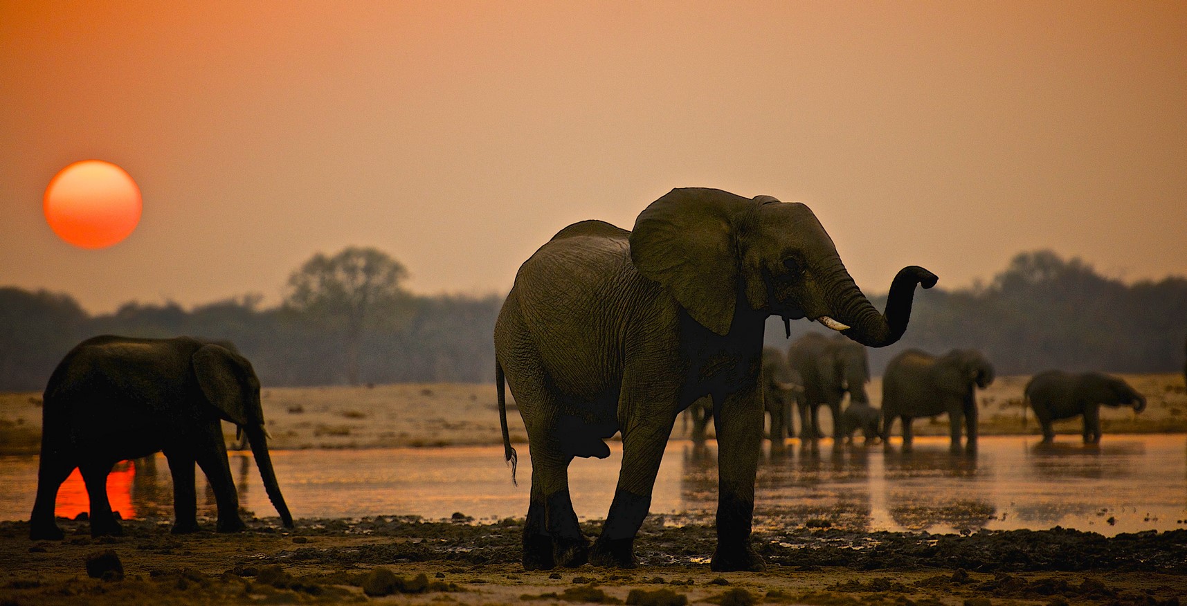 Hwange_National_Park004 .jpg