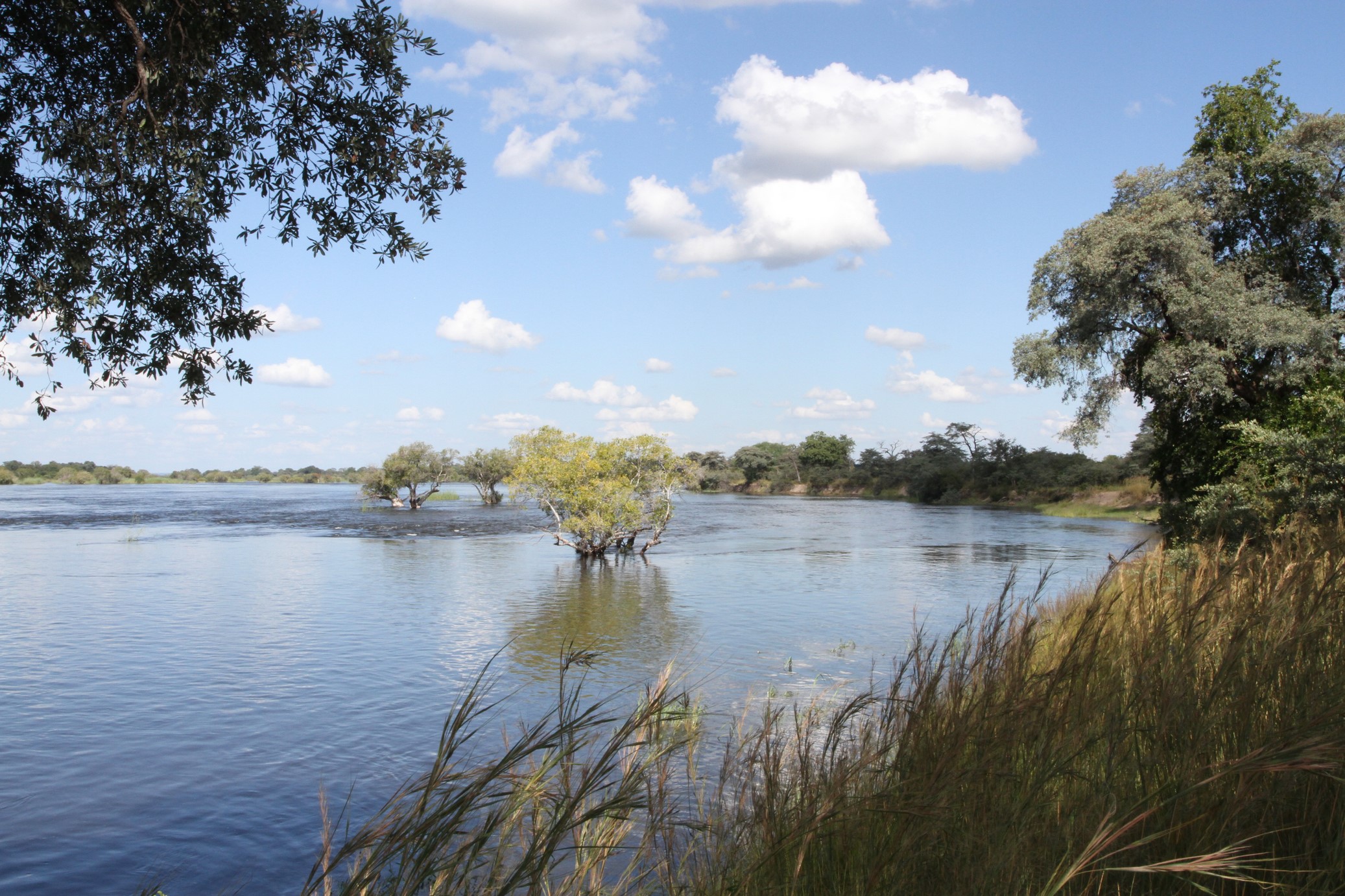 Zambezi_river002 .JPG