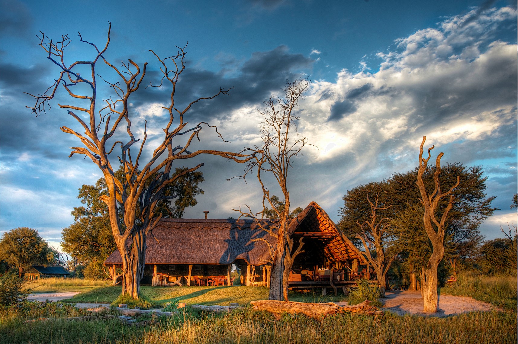 Bomani_Tented_Lodge001 .jpg