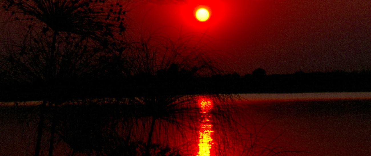 BW Chobe Sunset 1200 A.jpg