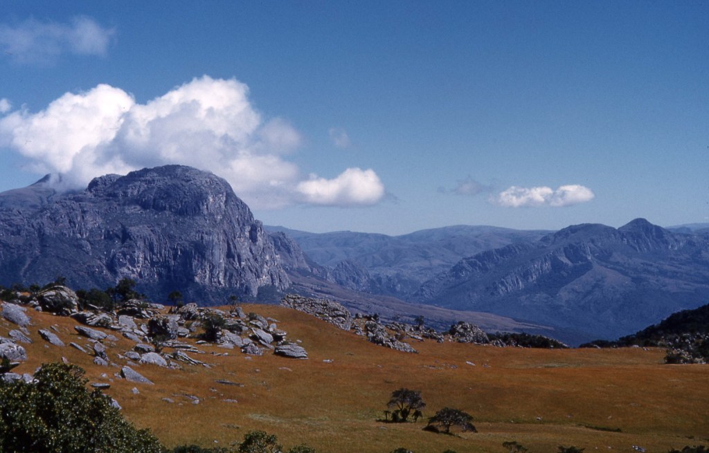 Chimanimani_National_Park_001.jpg