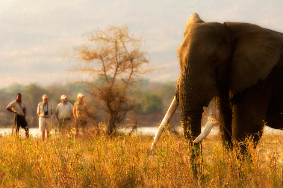 Zambezi_Life Styles_001.jpg