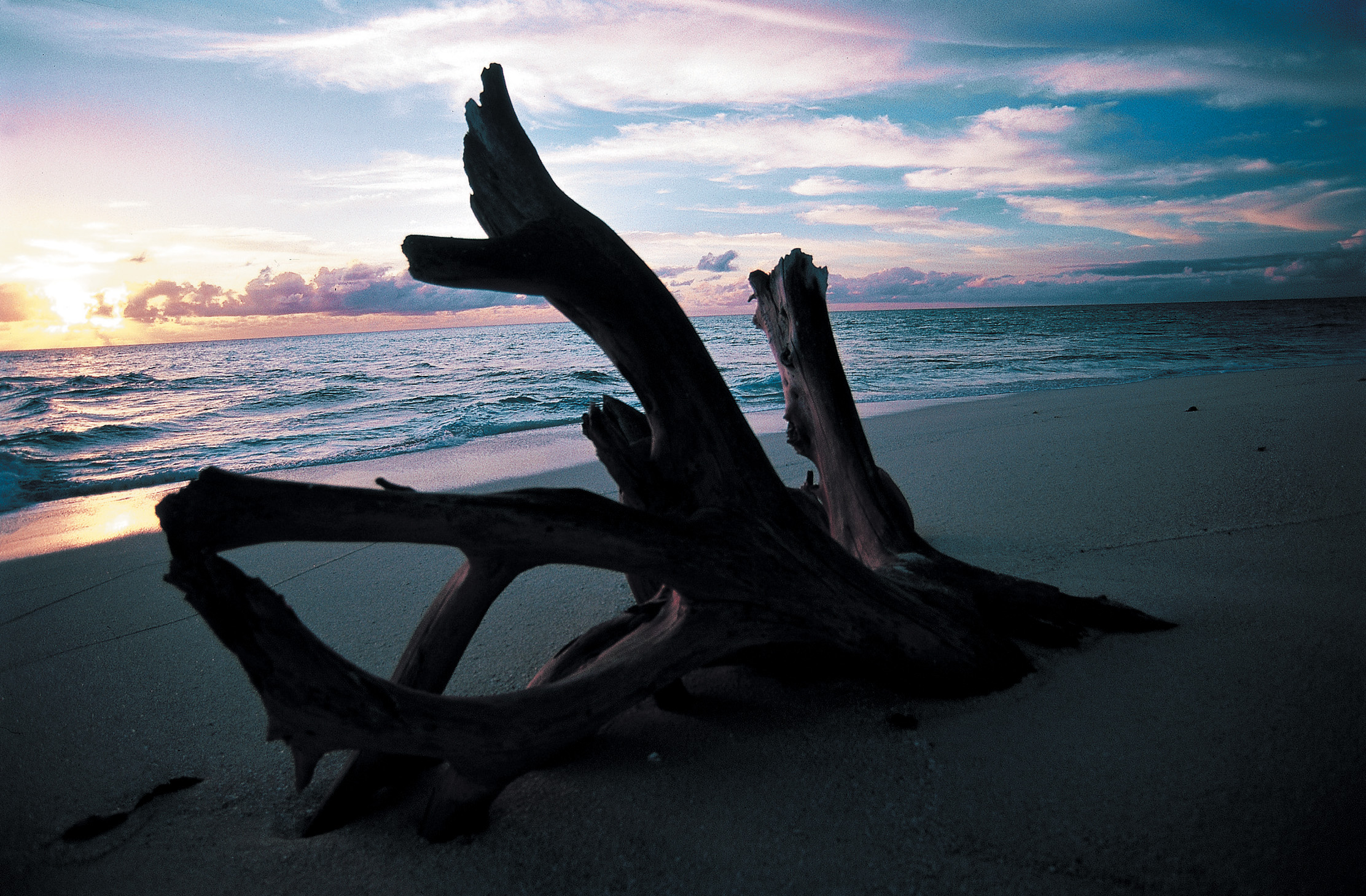 MZ_Pembawoodbeach_PembaLodge