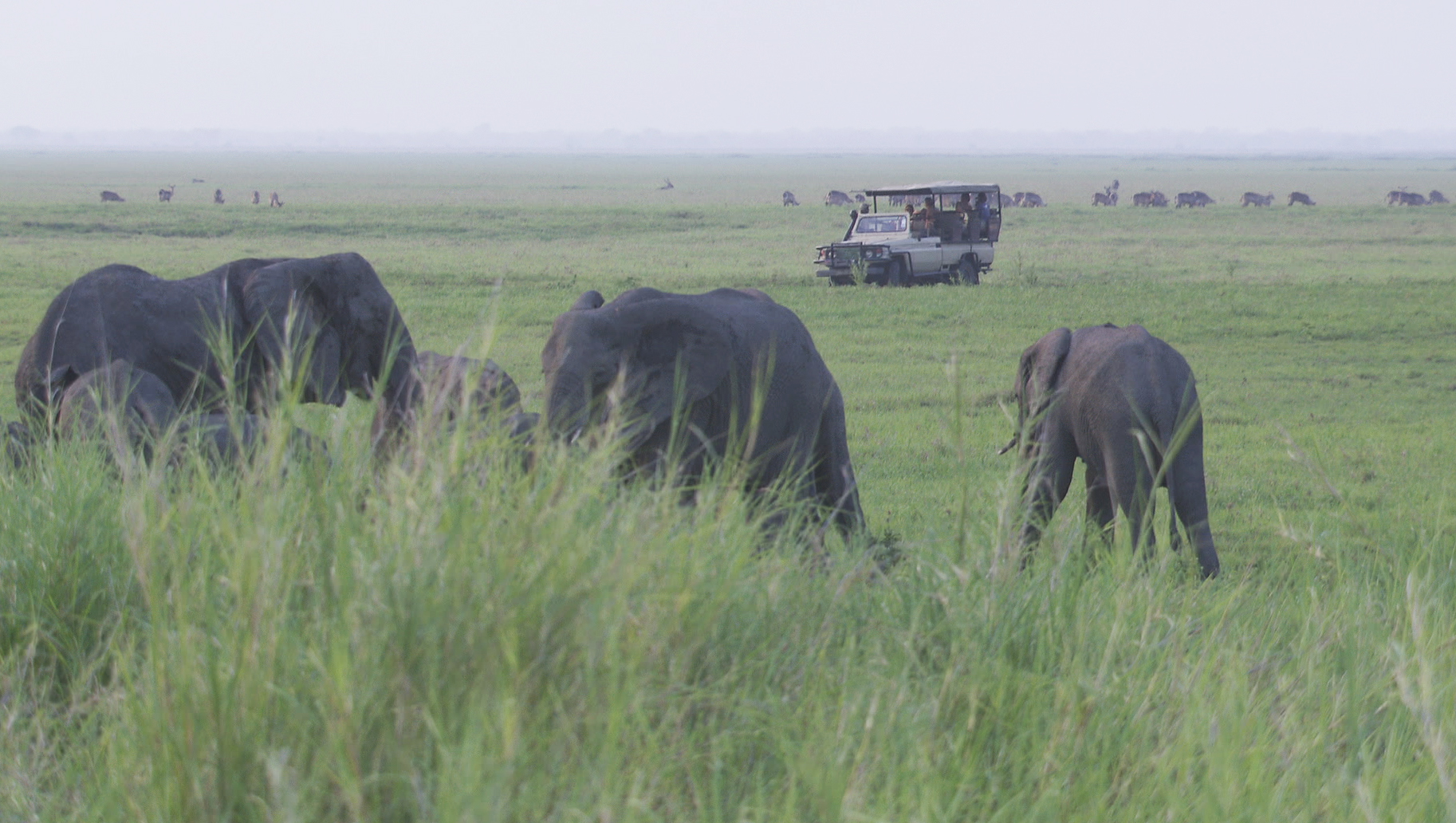 Bob_Poole19 Gorongosa.jpg Test for limpopo