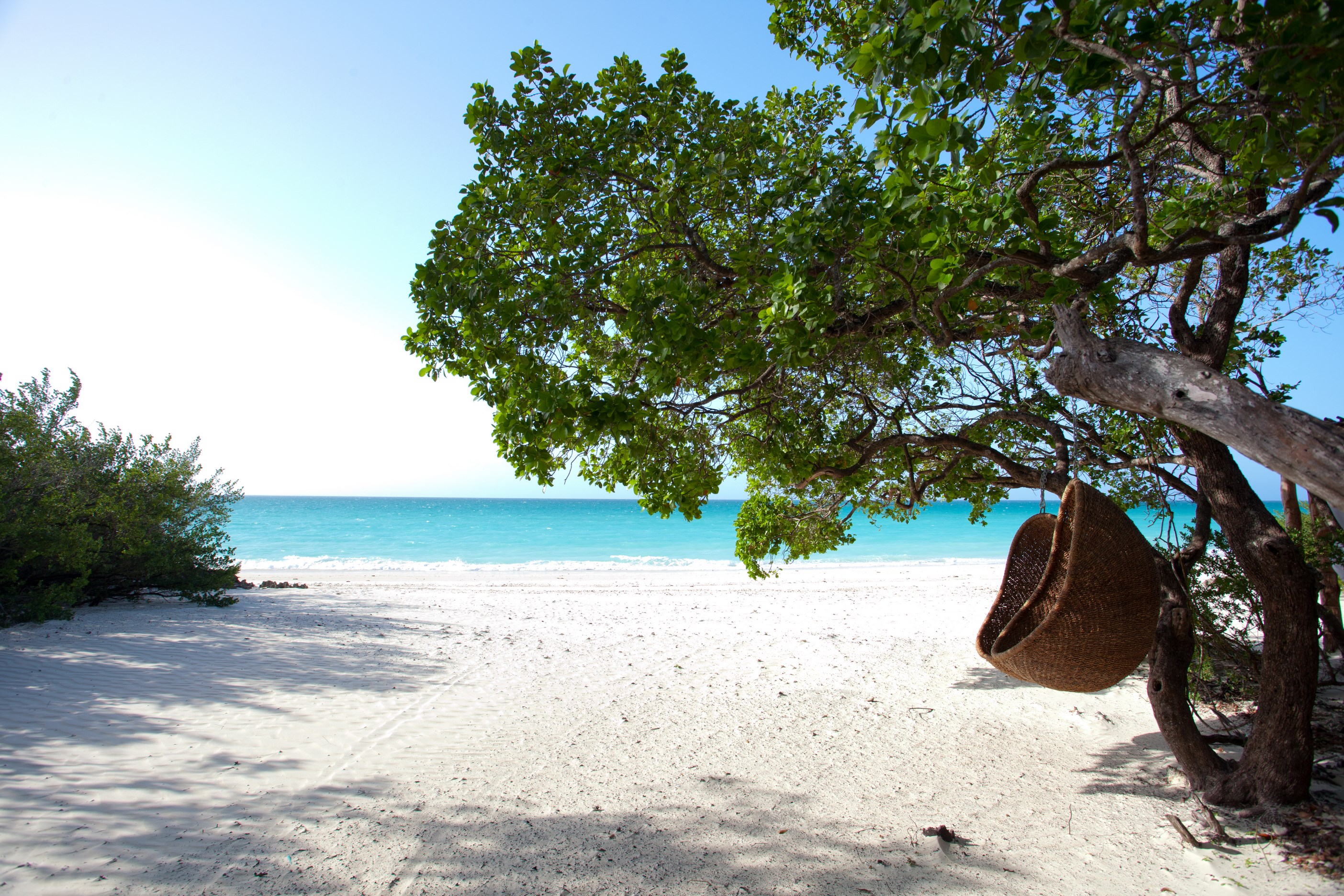 MZ_OceanView_VamiziCasamina