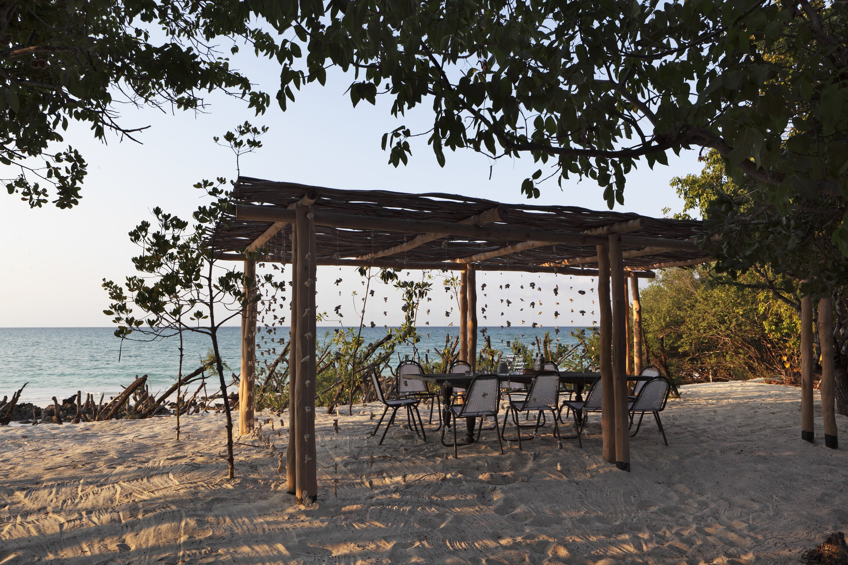 MZ_Dining_VamiziTartaruga