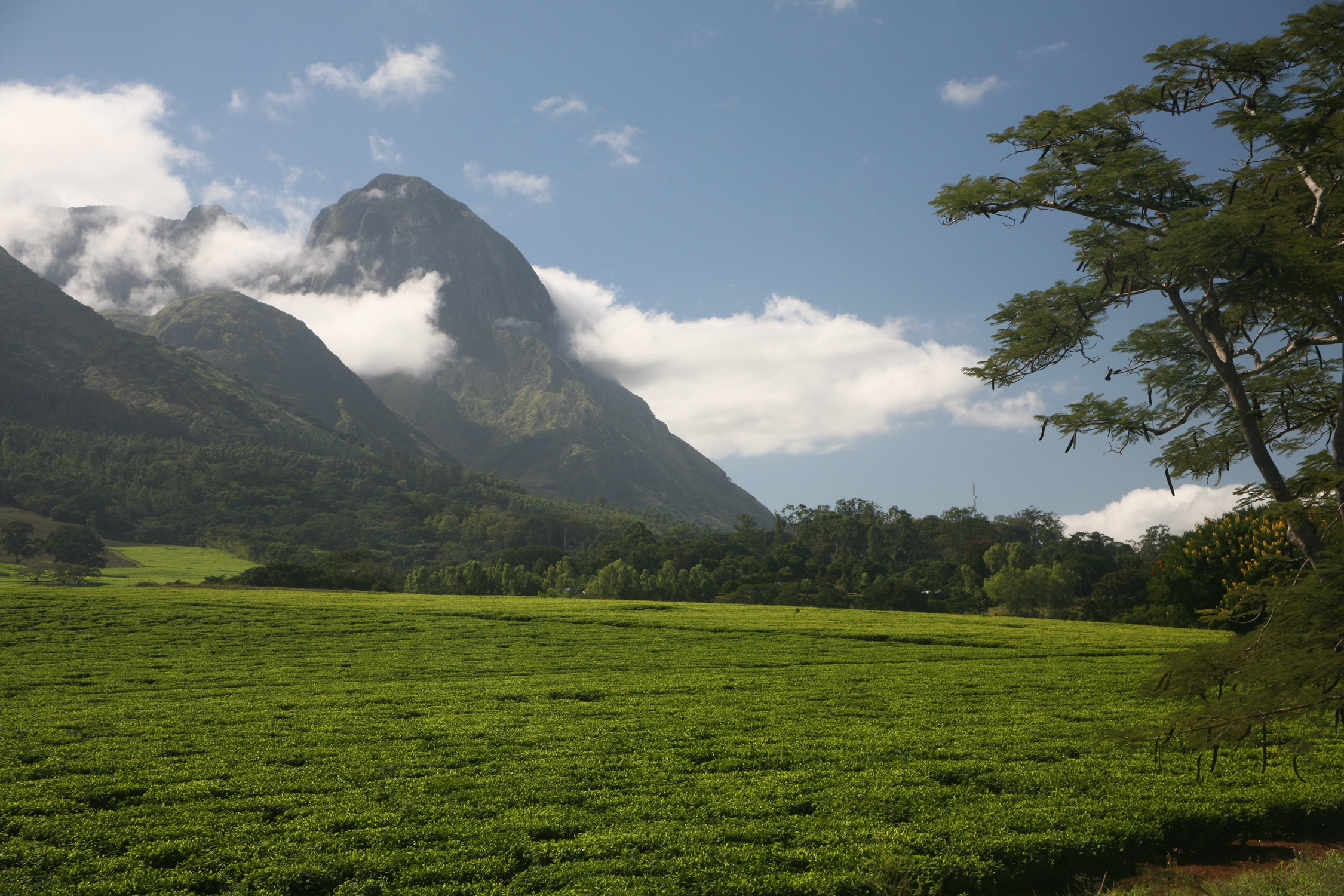 Mount Mulanje