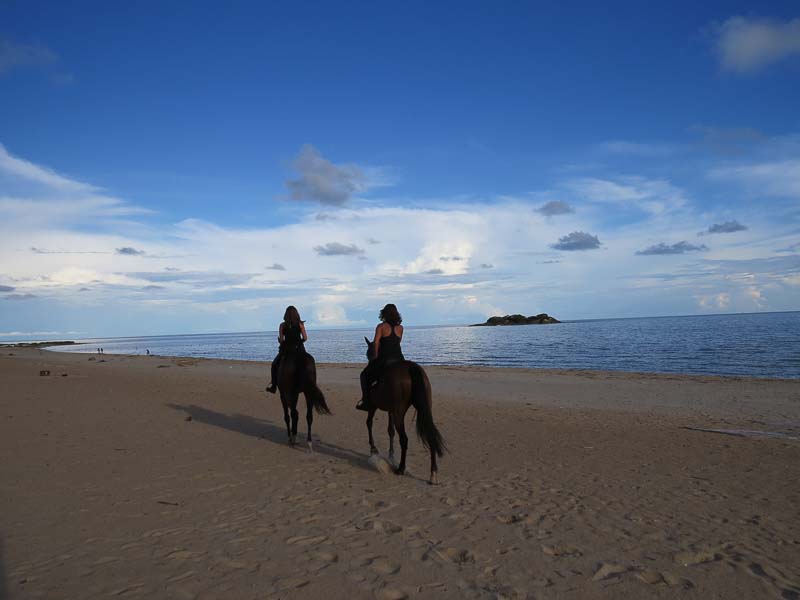 Northern Lake Shore.jpg