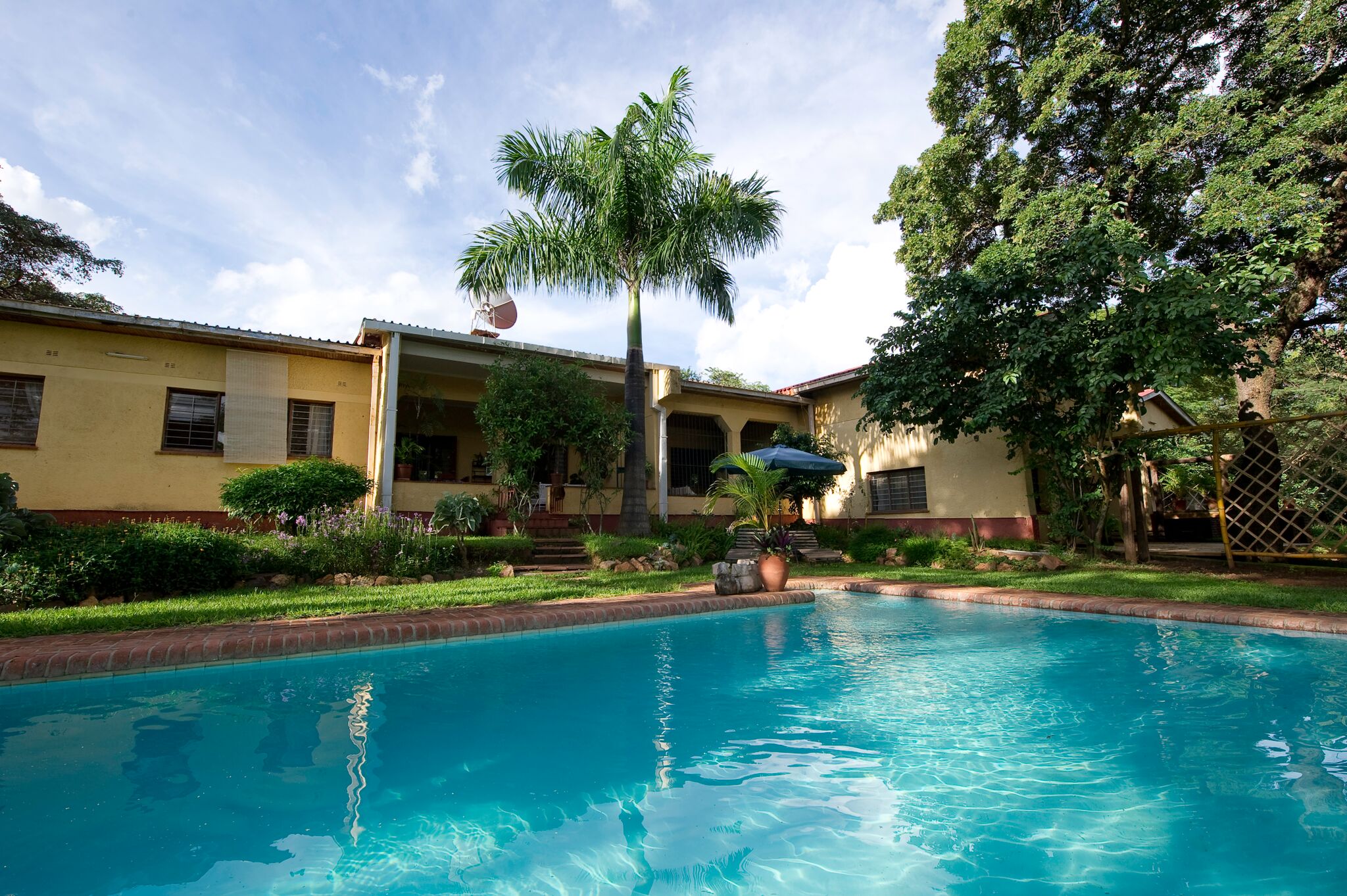 Heuglins pool - Dana Allen.jpeg