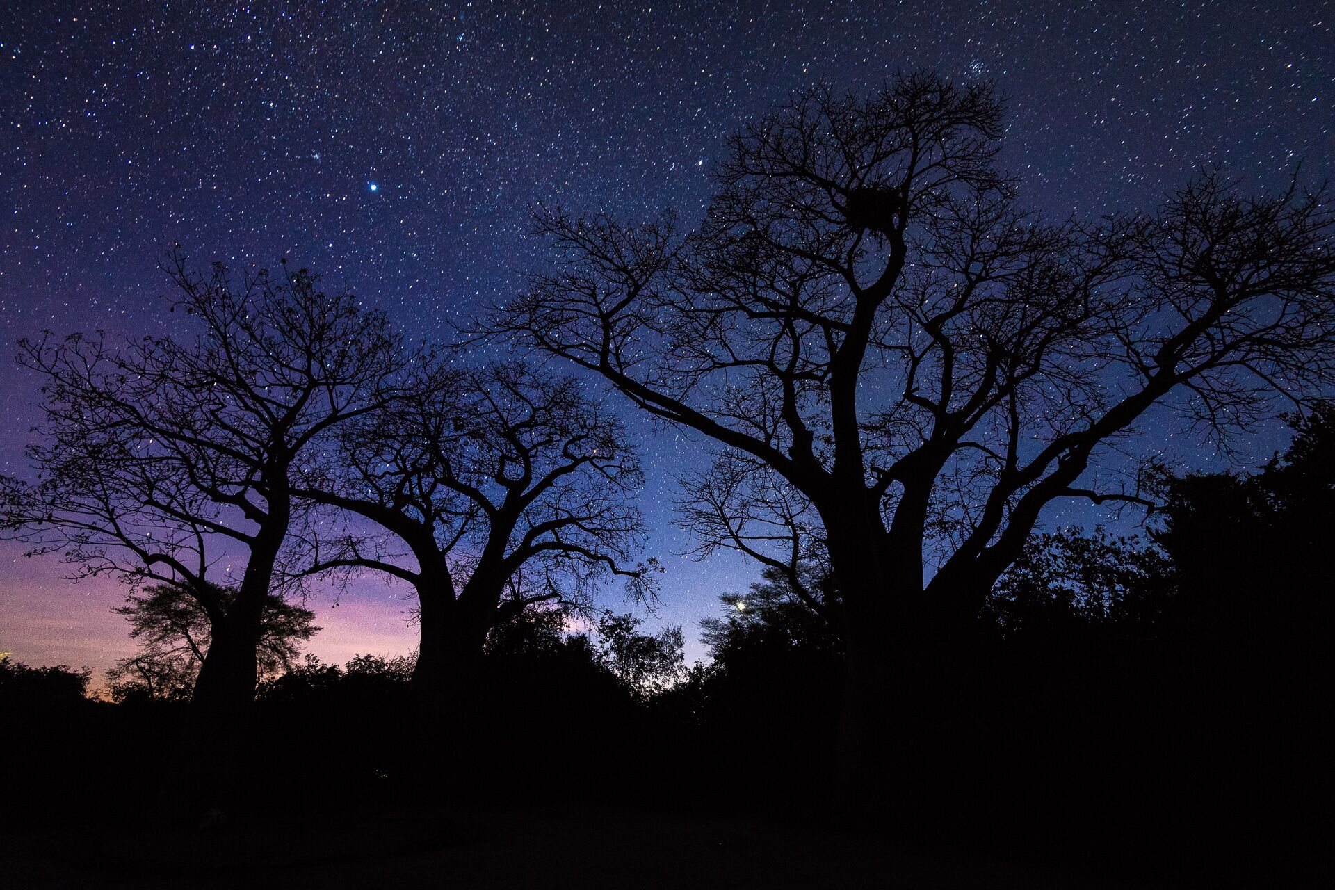 Liwonde NP night sky.jpeg