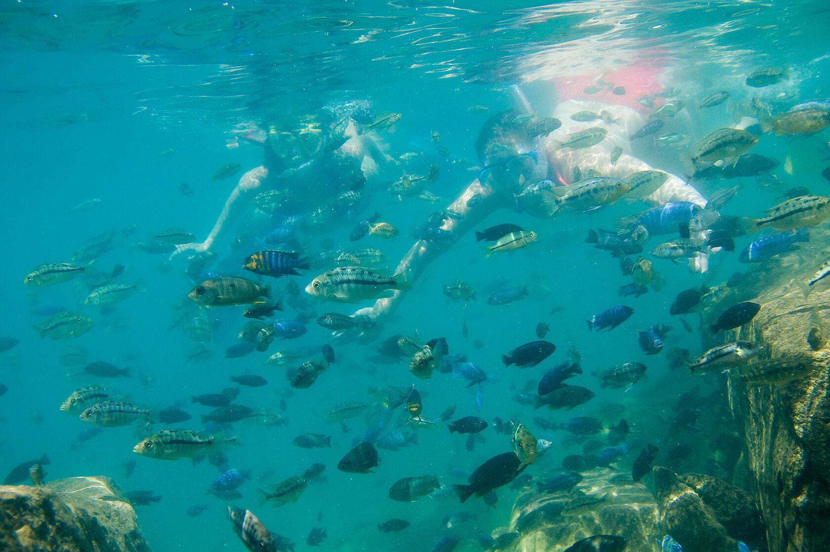 Southern Lake snorkeling.jpeg