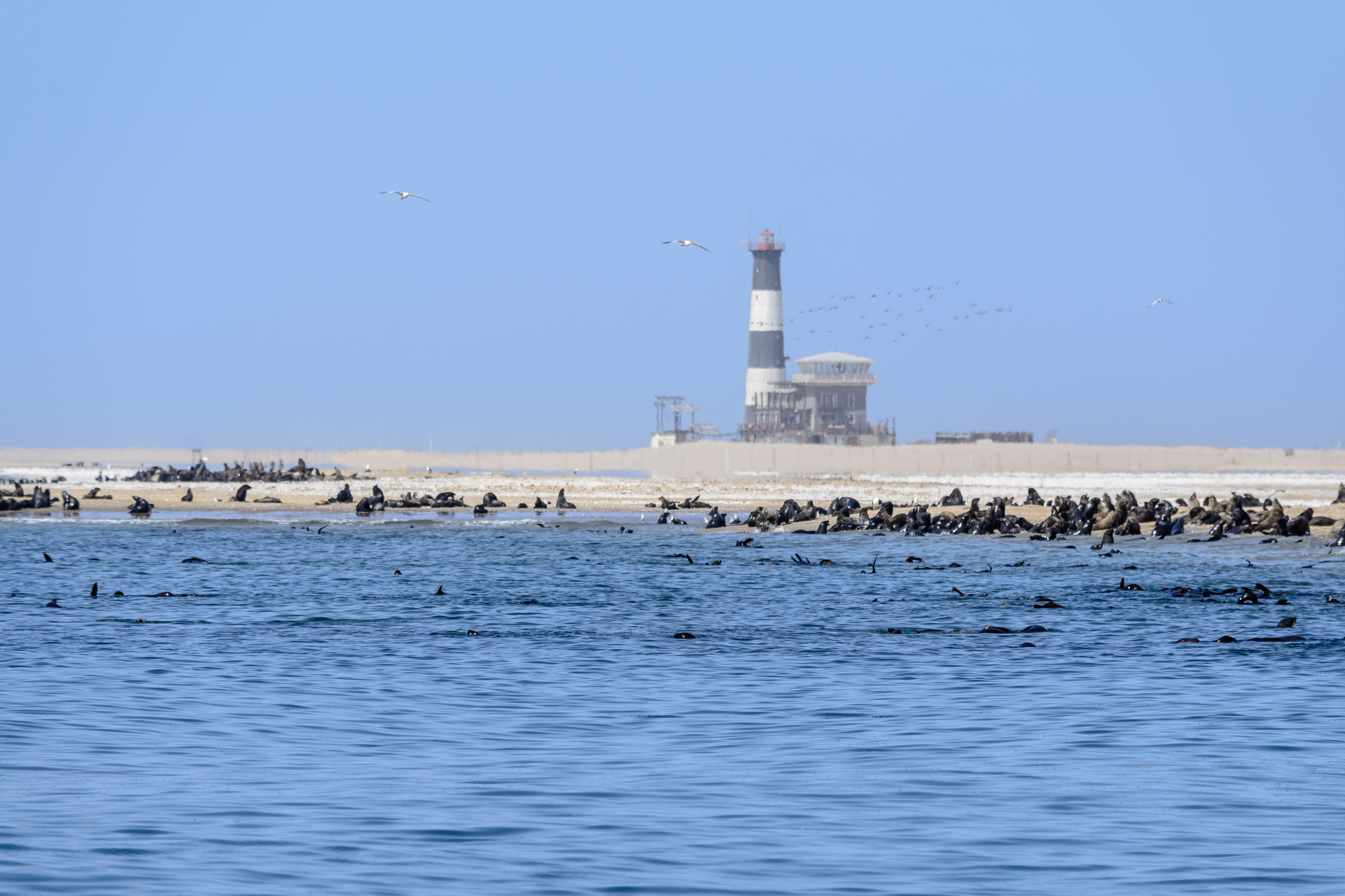 Namibia - Walvis Bay Pelican Point Lodge.jpg