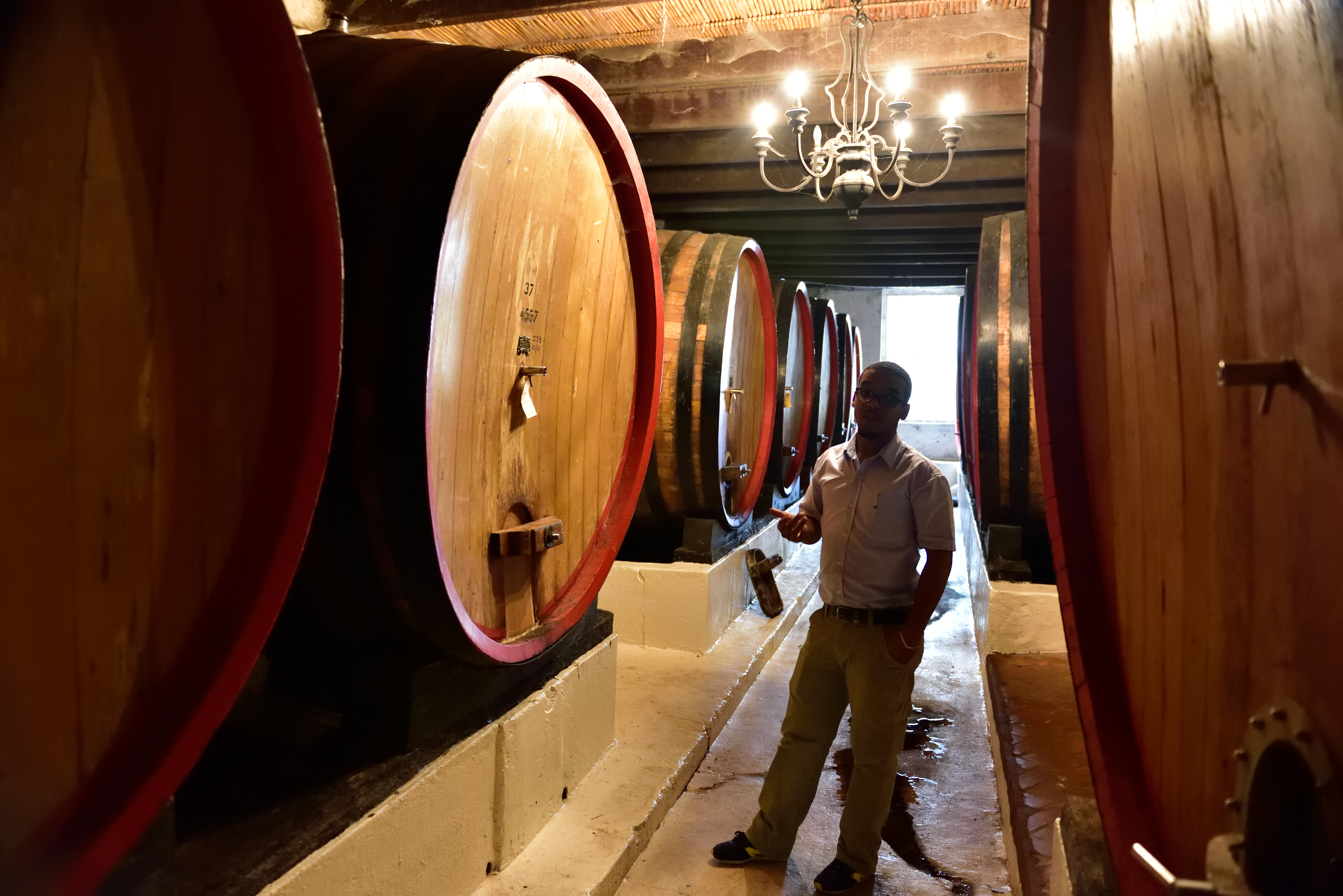 Warwick Wine Estate - Stellenbosch.jpg