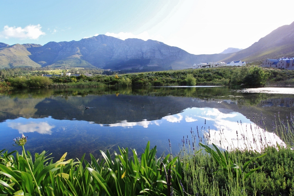 Franschhoek 1.jpg