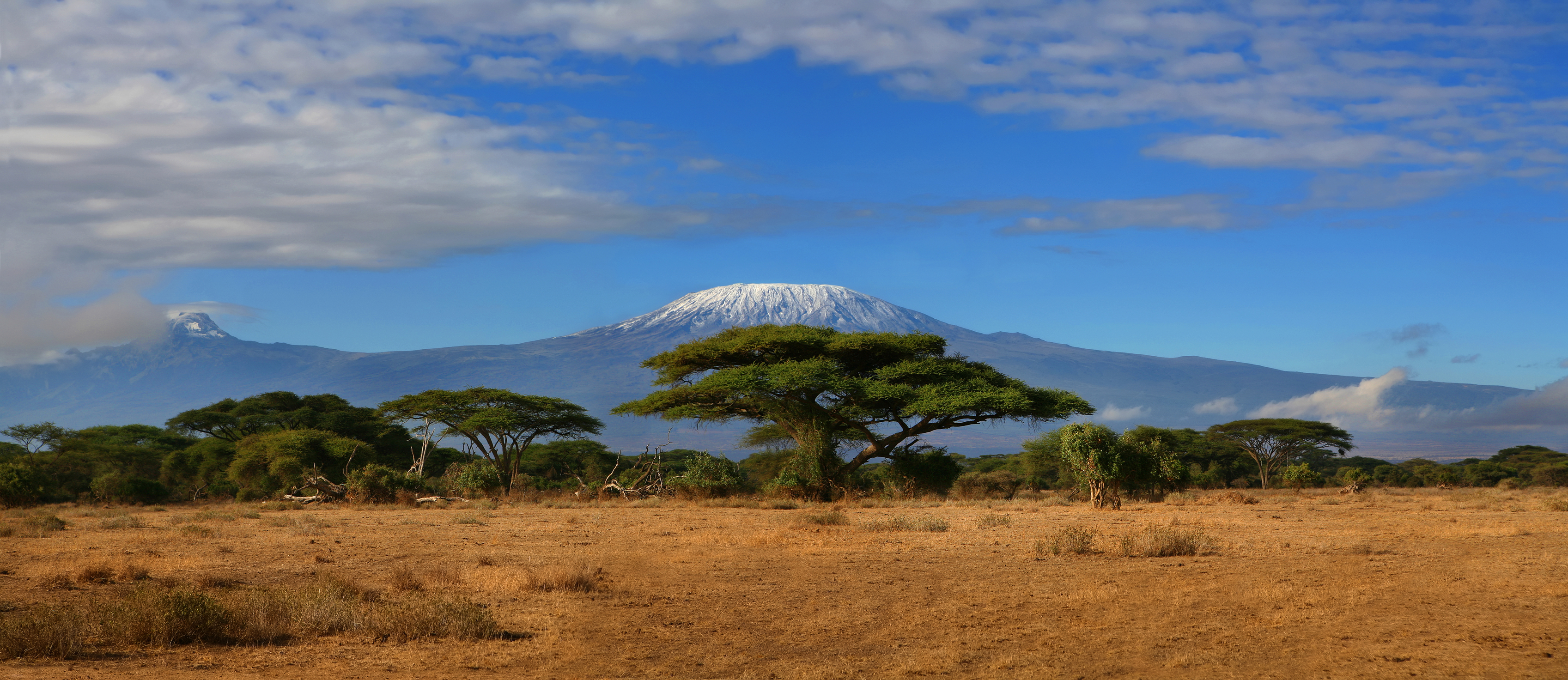 Kilimanjaro panorama.jpg