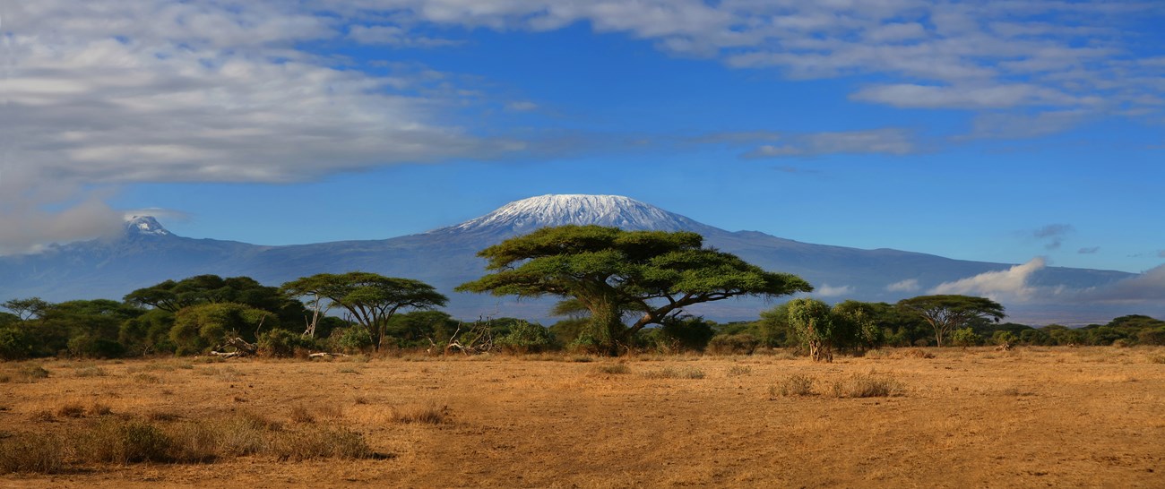 Kilimanjaro panorama.jpg