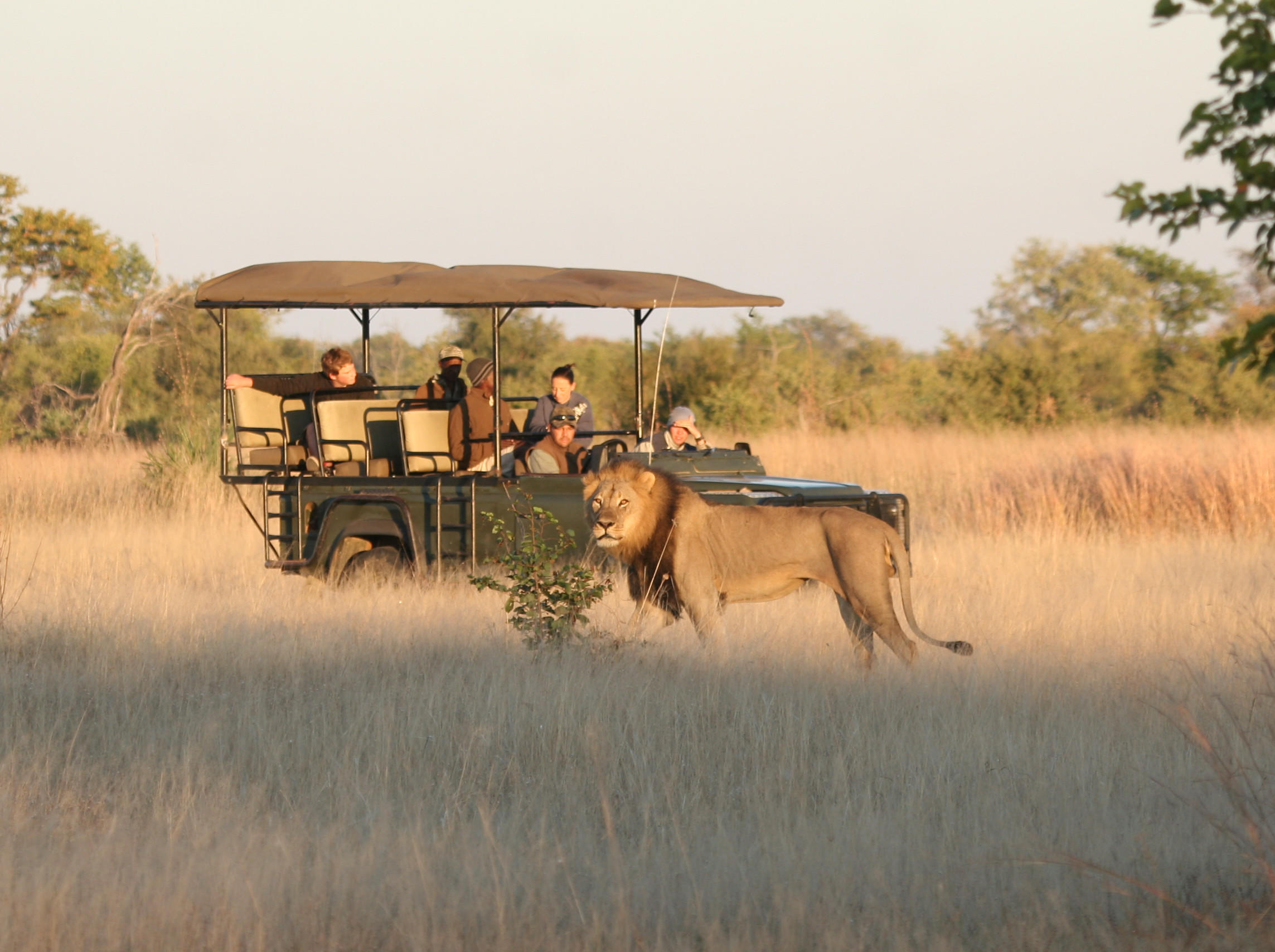 Game Drives.jpg