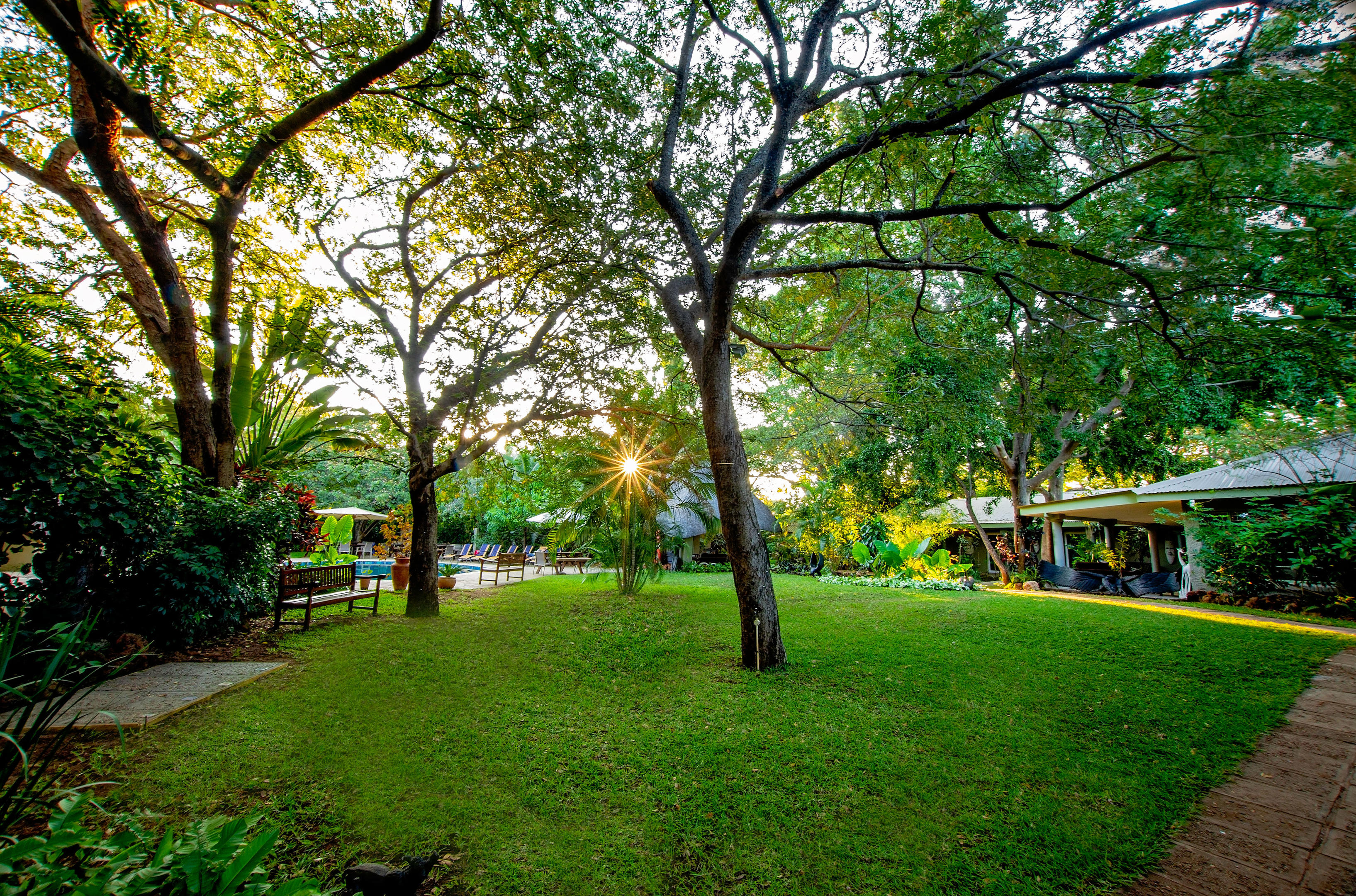 Bayete Garden.jpg