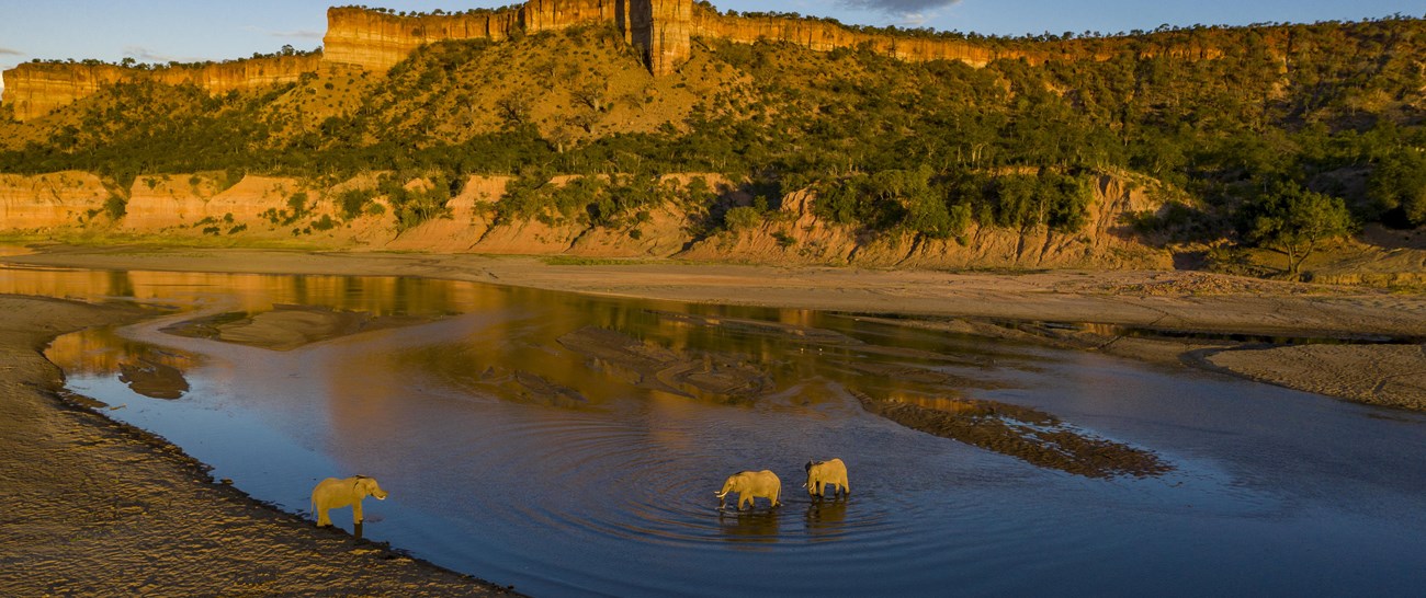Elephants drinking in Runde under Chilojo cliffs.jpg