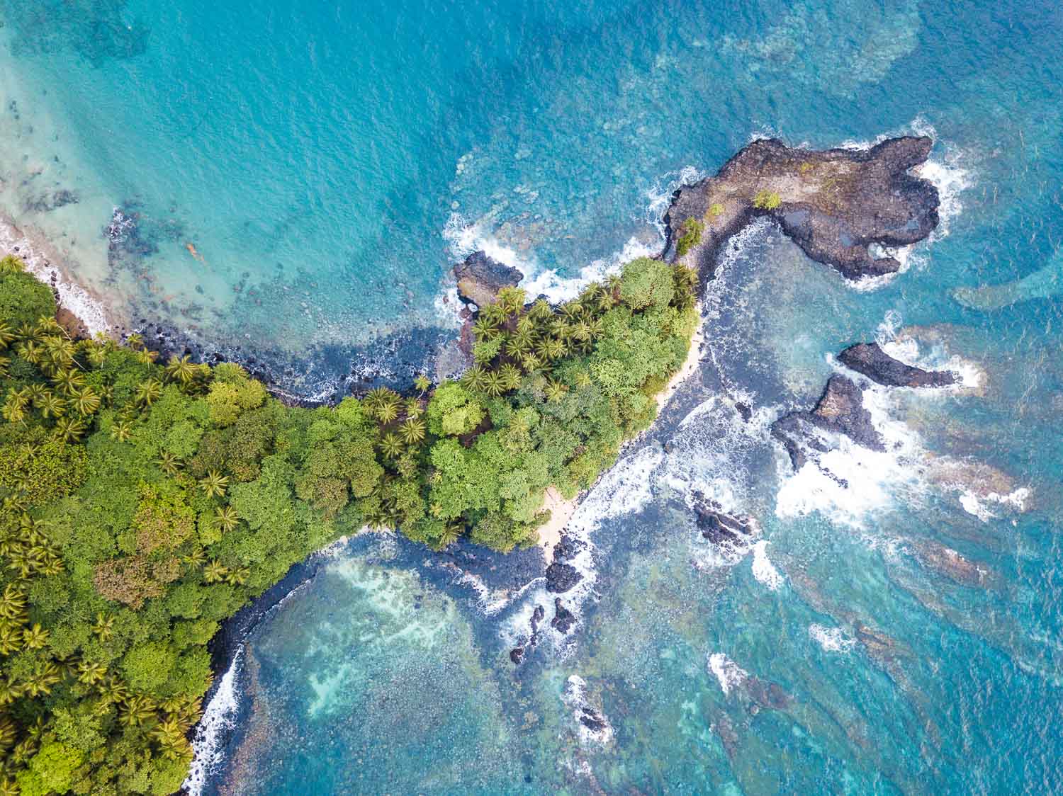 23. PRÍNCIPE ISLAND - Where forest meets sea - copyright Scott Ramsay.jpg